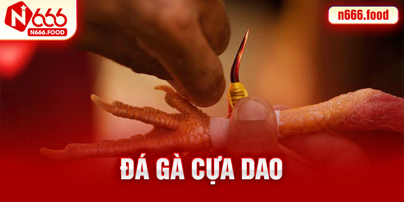 đá gà cựa dao